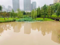 -沐仙湖湿地公园