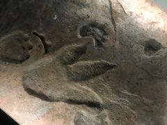 -湖南省地质博物馆