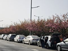 -洨河生态公园