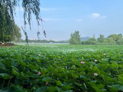 -云龙湖旅游景区