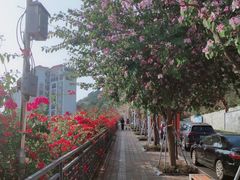 -小南山公园
