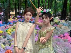 -洛阳白云山景区