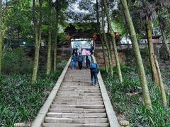 -青城山