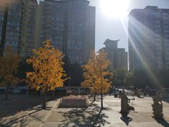 -元大都城垣遗址公园