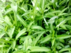 -金明姬铁锅炖(东坝店)