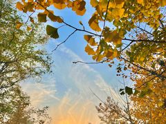 -长白岛森林公园