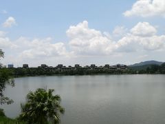-美的鹭湖森林度假区