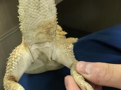 -爱诺耐芙动物医院(万博店)