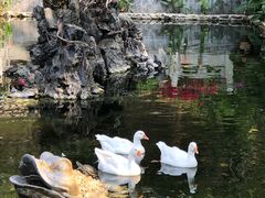 -国恩寺