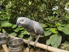 -南宫五洲植物乐园