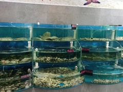水产区-蓝珊甄选海鲜自助·火锅大排档(近阿那亚店)