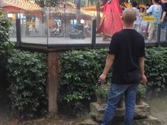 -二荆条·蜀鲜汇城市森林火锅