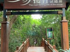 -亚龙湾热带天堂森林公园