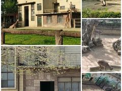 -成都动物园