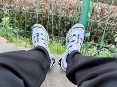 -龙坞茶村