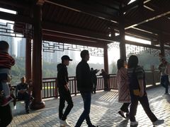 -重庆彩云湖湿地公园