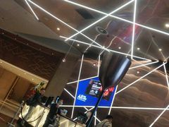 -南京禄口机场雅高铂尔曼大酒店