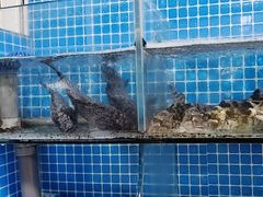 -宾朋海鲜特色美食餐厅·纯手工鲅鱼水饺(兴海路店)