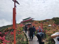 -大围山国家森林公园