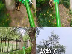 -东北农家院·铁锅炖(莘庄店)