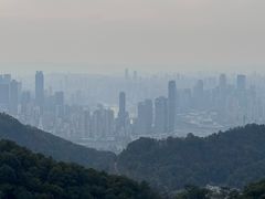 -大金鹰园