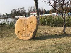 -上海长兴岛郊野公园