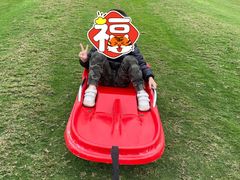 -迪茵湖田家舍生态农场