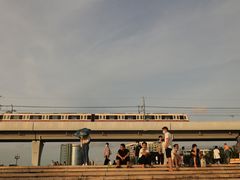 -宝安西湾红树林湿地公园