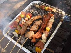 -崇明东平国家森林公园烧烤房车露营地