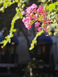 -西安索菲特人民大厦酒店·宴会厅