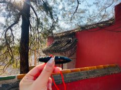 -潭柘寺景区