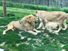 -北京野生动物园