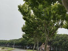 -东方绿舟景区