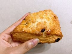 -麦德龙(张家港店)