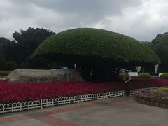 -南宁南湖公园