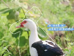 -宾湖农庄·农场特色(太湖龙之梦店)