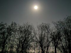 -汉长安城未央宫国家考古遗址公园