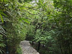 -云龙山