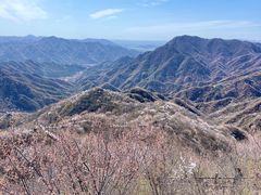 -大岭沟猕猴桃谷风景区