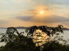 -上海市保健医疗中心