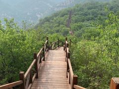 -大岭沟猕猴桃谷风景区