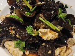 -洞庭家宴·头牌甲鱼(广渠门店)