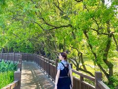 -东湖落雁景区