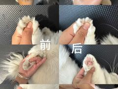 -听TA说宠咖·宠物生活馆(天韵水岸店)