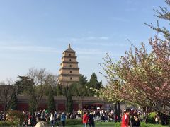 -天下第一面(大雁塔北广场店)