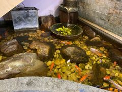 -小糖朝(恒信店)