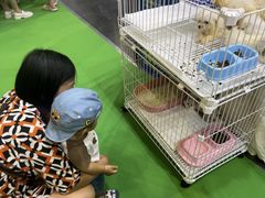 -宁波国际会展中心