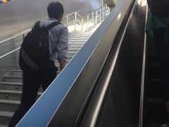 -望京西(地铁站)