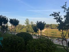 -洨河生态公园
