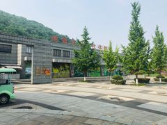 -金钉子远古世界景区